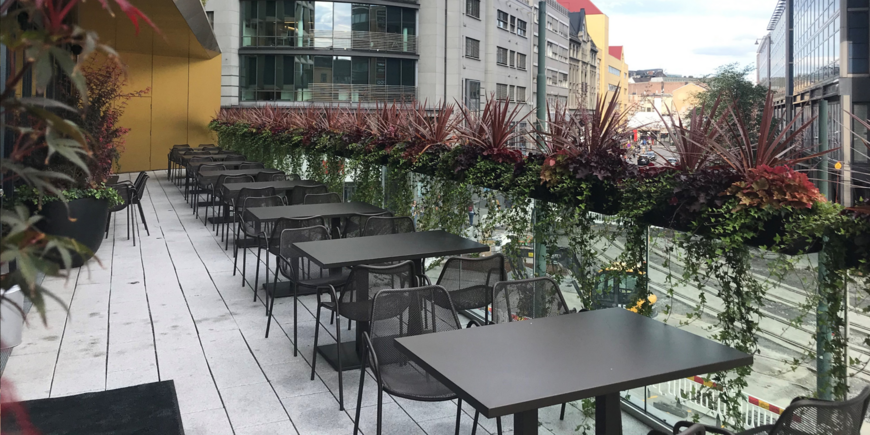 Ingressbilde Planter